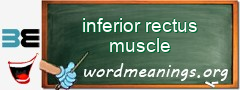 WordMeaning blackboard for inferior rectus muscle